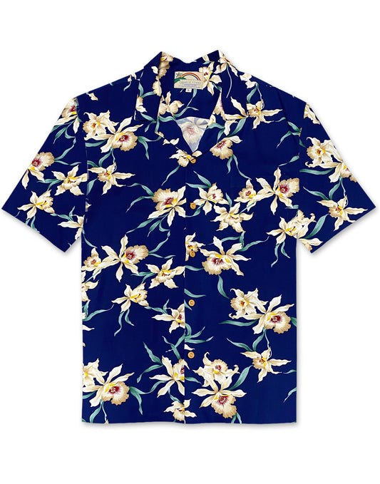 Star Orchid by Paradise Found